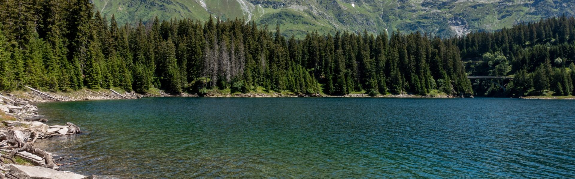 Lake with forest and mountain in background